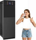 Distributori e fontane d'acqua, 12°C, 600 ml, 11,3 kg, Bianco
