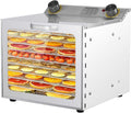 MINEYCHCEY, Essiccatori per alimenti, 20x28 cm, 2,5 cm, 90 °C, Argento, acciaio inox, timer, protezione dal surriscaldamento